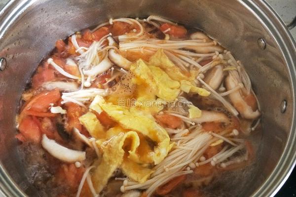 番茄菌菇豆腐汤的做法图解5