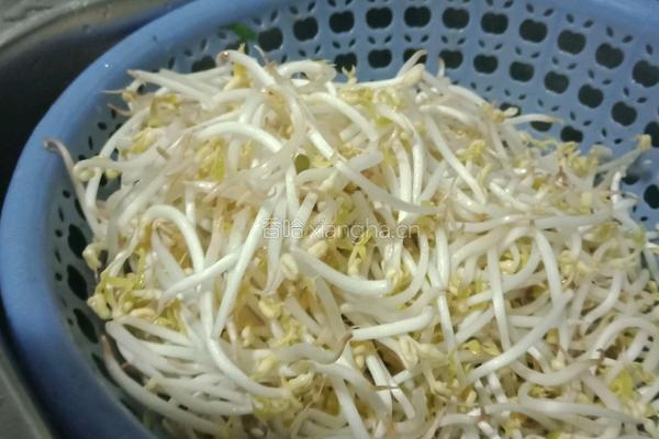 肉丝豆芽的做法图解1