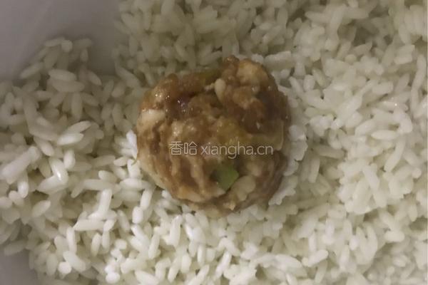 香菇糯米丸的做法图解6
