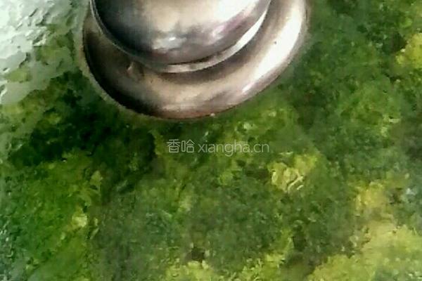 西兰花的做法图解4