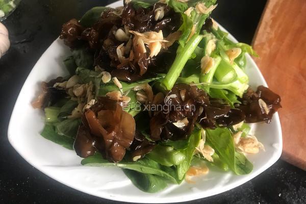 虾米油菜薹的做法图解8