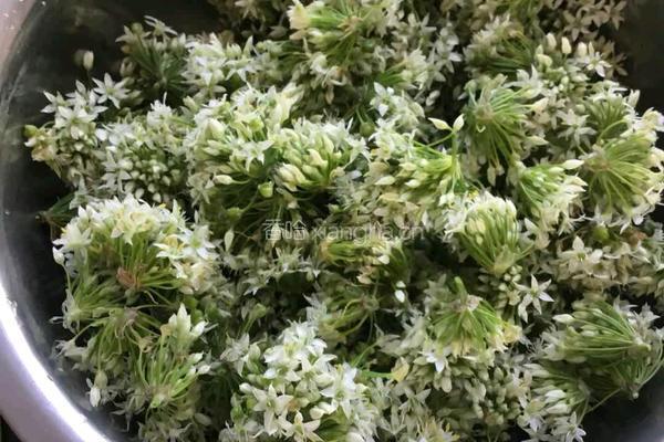 韭菜花的做法图解1