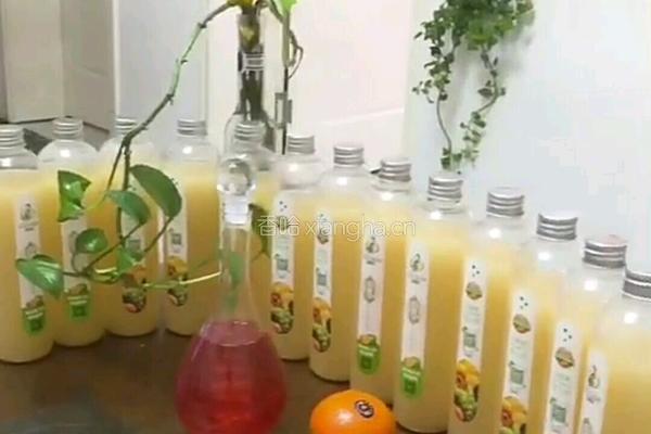 菠萝火龙果酵素的做法图解5