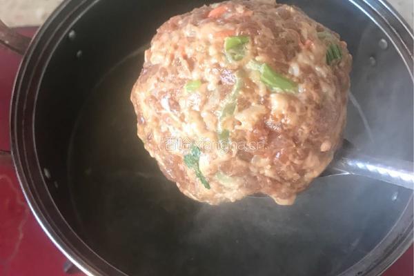 蒸狮子头的做法图解4