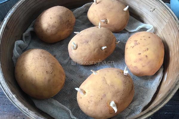 土豆馒头的做法图解10