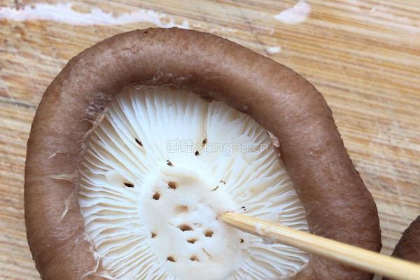 （蒸菜）香菇酿肉的做法图解2