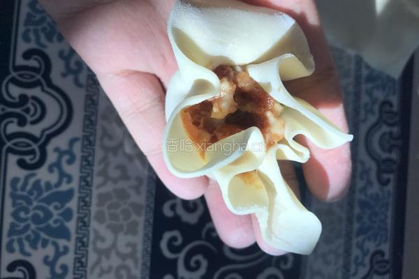 蒸鲜肉烧麦的做法图解4