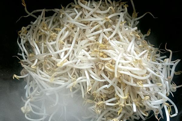酸爽脆口豆芽菜的做法图解4