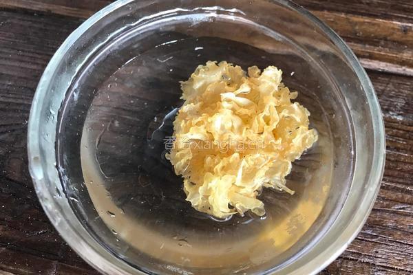 葧荠银耳盅的做法图解1