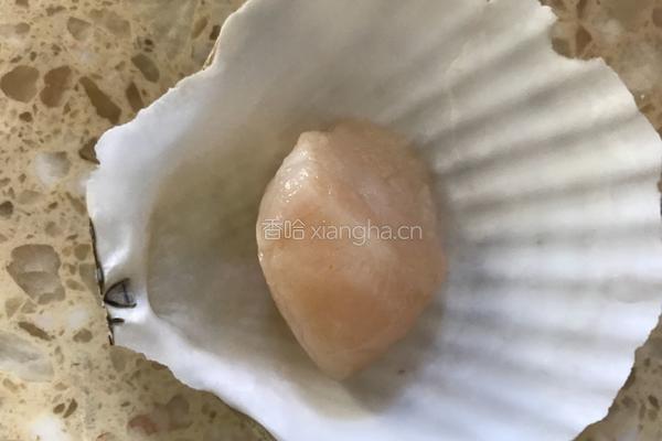 蒜蓉粉丝蒸扇贝的做法图解7