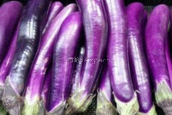 肉酿茄子的做法图解1