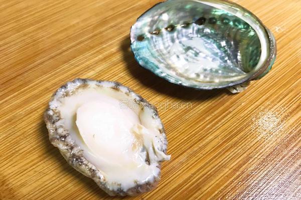 清蒸鲍鱼的做法图解5
