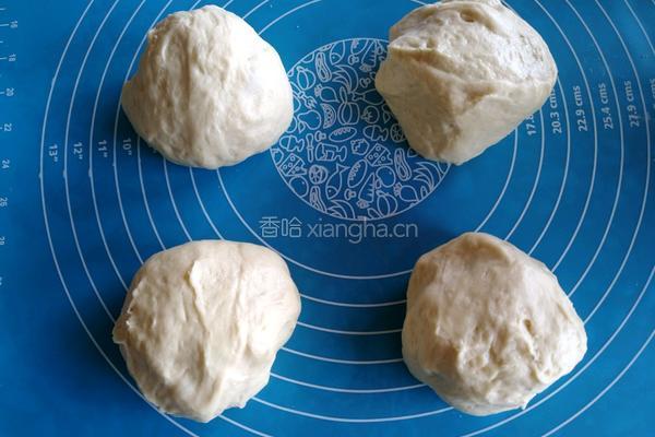 椰蓉叶子软欧（波兰种）的做法图解13