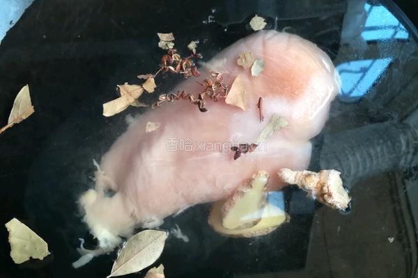 黄瓜拌鸡丝的做法图解1