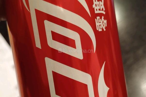 可乐鸡翅的做法图解8