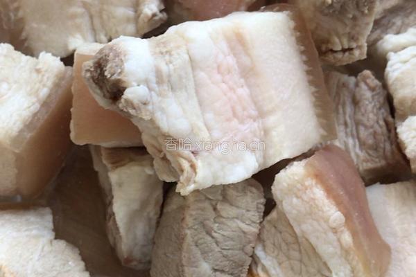 野葱焖肉的做法图解3