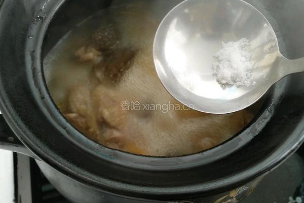 羊肚菌鸡汤的做法图解11