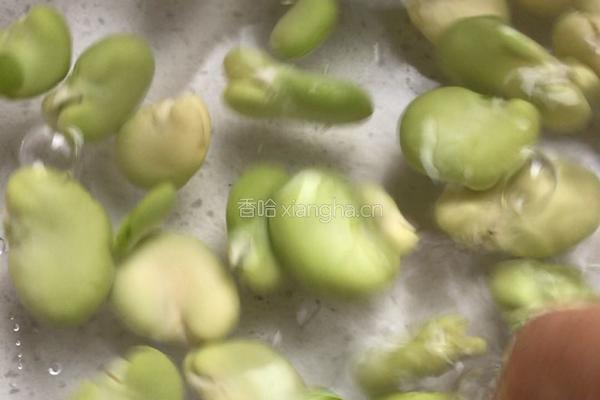 蒸蚕豆的做法图解4