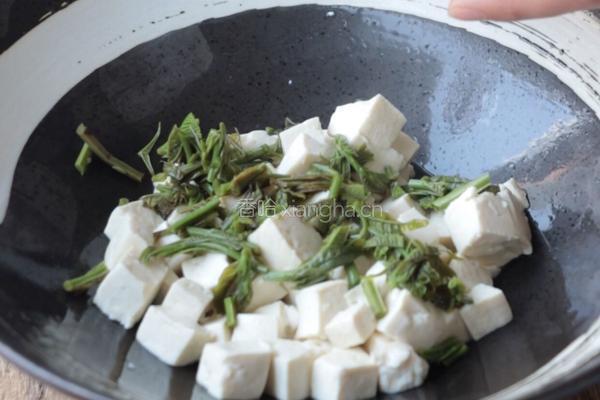香椿芽拌豆腐的做法图解7