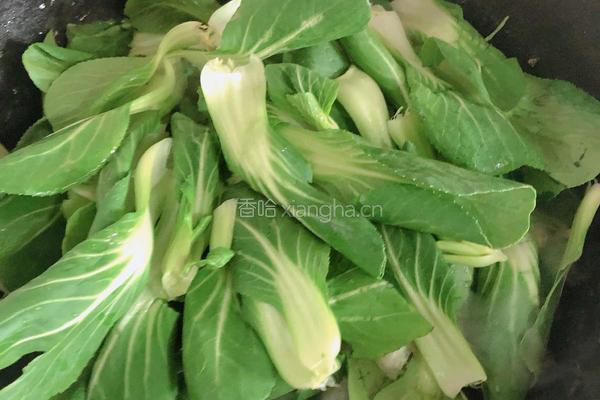 蚝油香菇油菜的做法图解8