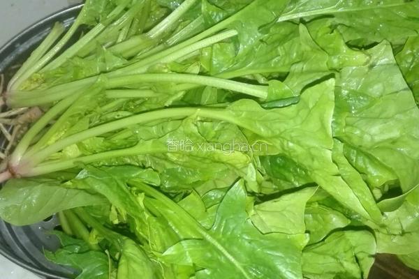 蒜香菠菜的做法图解2