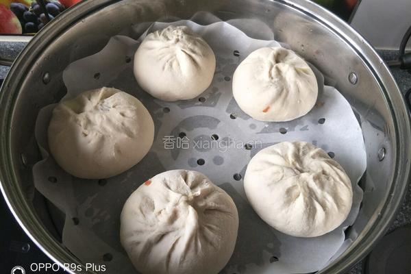 营养全面素包子的做法图解14