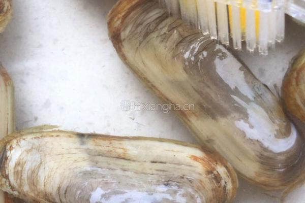 雪汁蒸蛏子的做法图解4