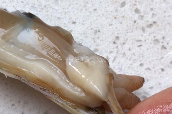 雪汁蒸蛏子的做法图解6