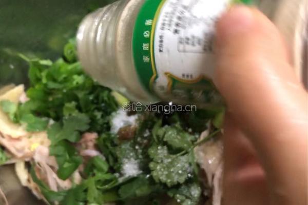 手撕鸡（香菜版）的做法图解12
