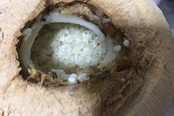 椰子糯米饭的做法图解3