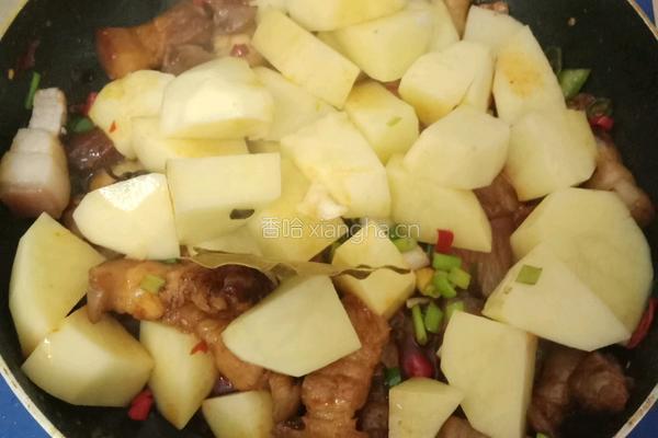 土豆闷肉的做法图解8