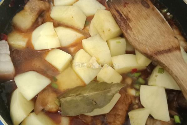 土豆闷肉的做法图解9
