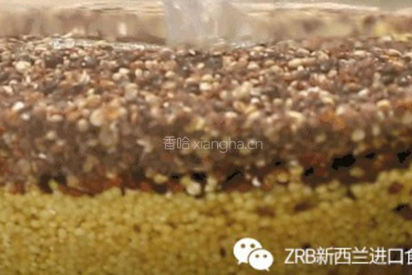 藜麦小米新西兰花胶粥的做法图解1
