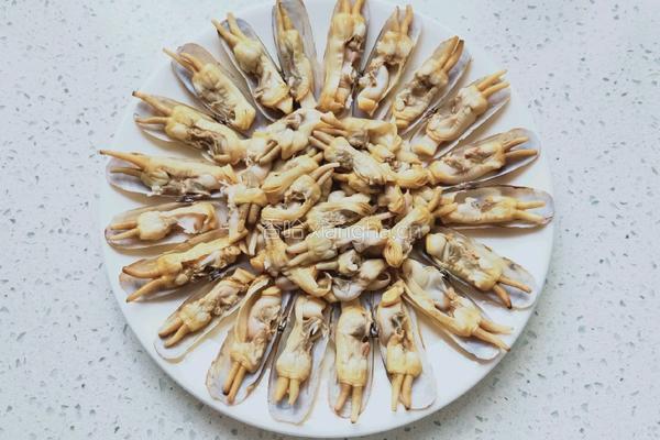 蒜蓉蒸蛏子的做法图解7