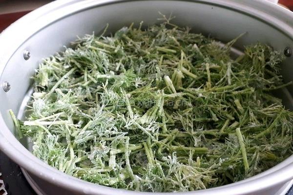 健康美味蒸茴香的做法图解5