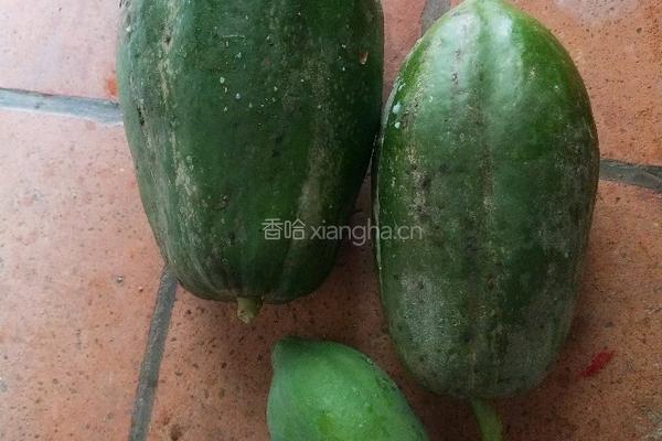下奶汤的做法图解1