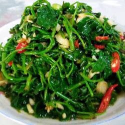凉拌簕菜（苦刺藤）的做法[图]