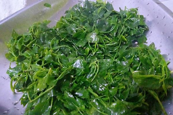凉拌簕菜（苦刺藤）的做法图解4