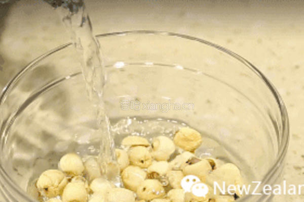 松茸新西兰花胶汤的做法图解1
