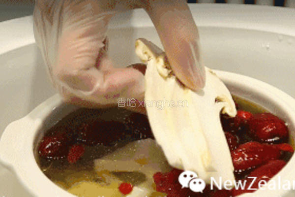 松茸新西兰花胶汤的做法图解4