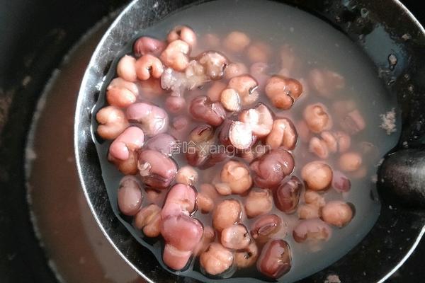 红豆薏仁汤的做法图解4