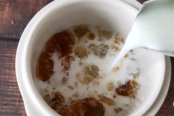 桃胶炖牛奶的做法图解3