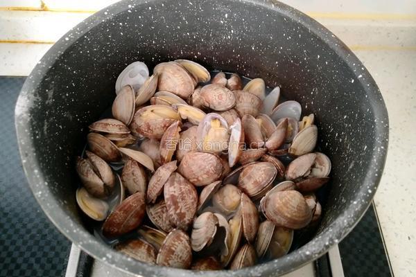 韭香花蛤海鲜汤的做法图解4