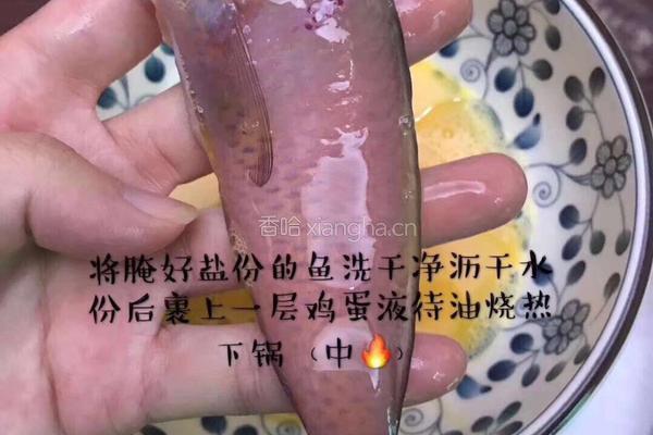 油煎莺歌鱼的做法图解3