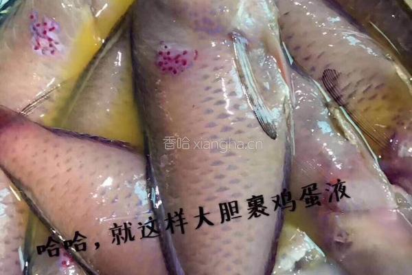 油煎莺歌鱼的做法图解4