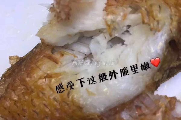 油煎莺歌鱼的做法图解6