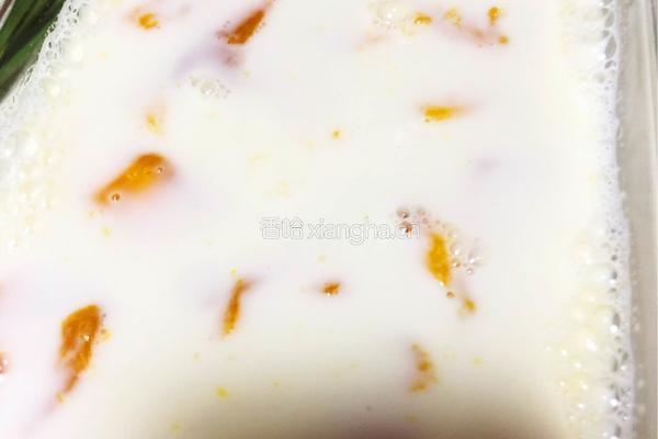 芒果布丁的做法图解4
