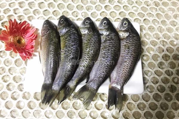 野生鲫鱼豆腐汤的做法图解2