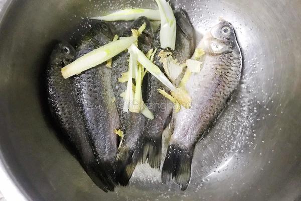 野生鲫鱼豆腐汤的做法图解3