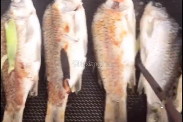 野生鲫鱼豆腐汤的做法图解5